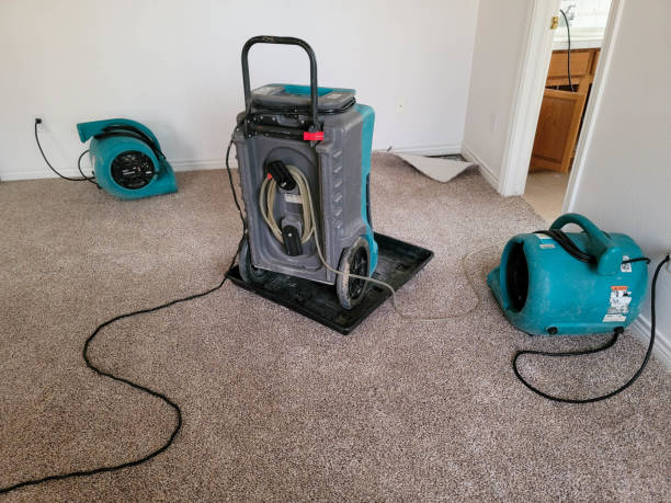 Sewage cleanup and water damage restoration in East Bronson, FL